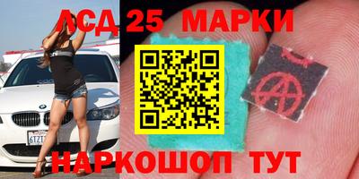 тгк Кингисепп