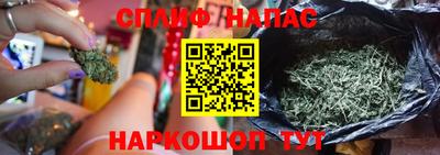 стафф Малоярославец