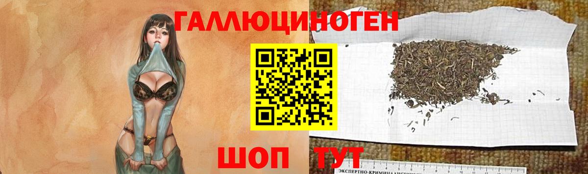 Псилоцибиновые грибы мухоморы Верхняя Пышма
